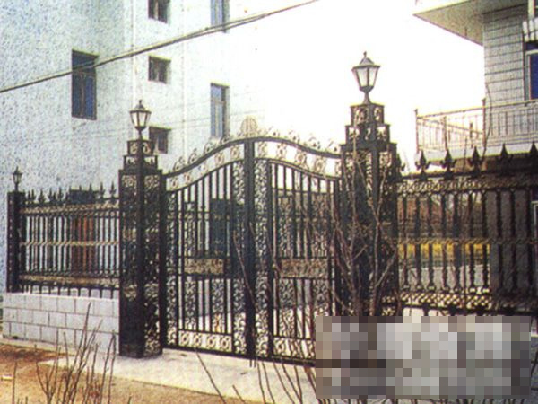 铁艺大门案例